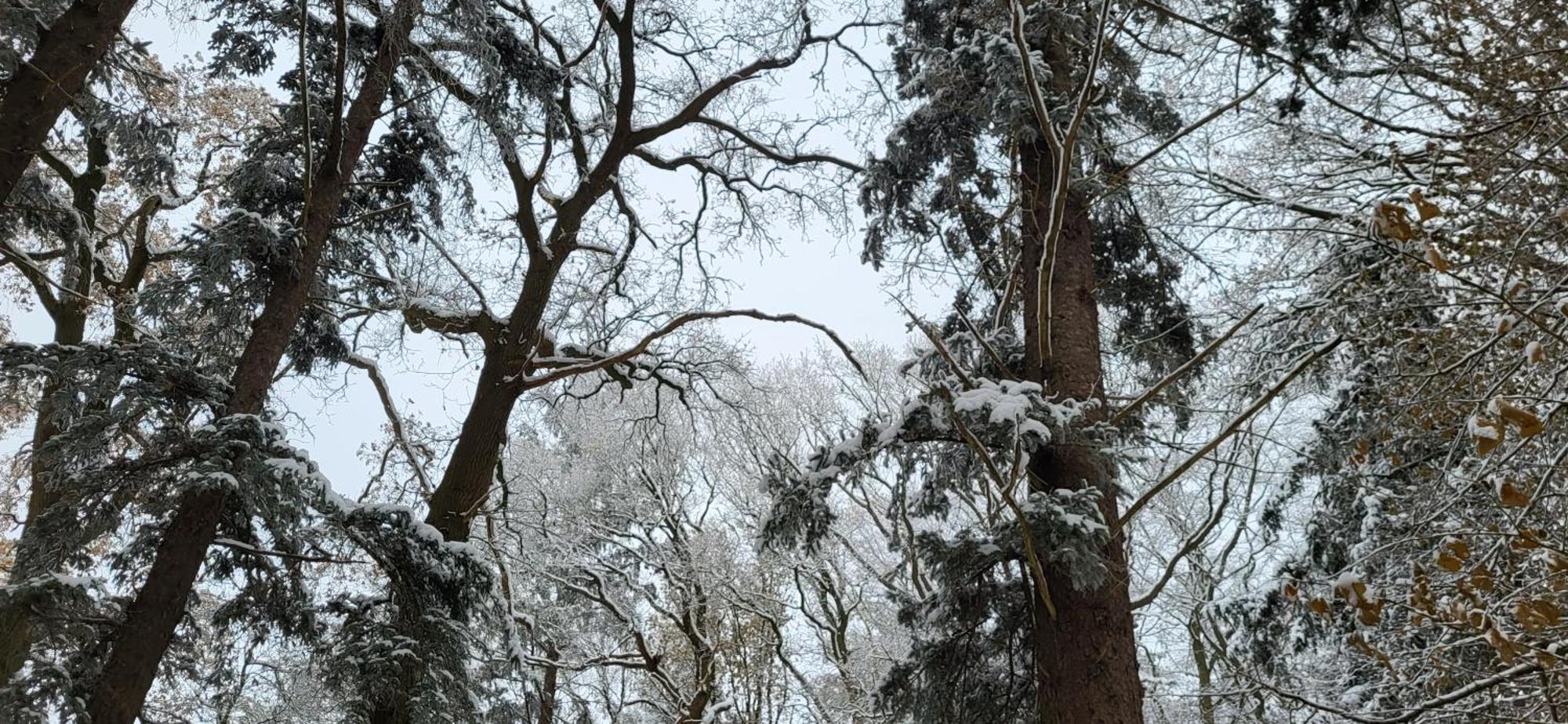 Вилла Haus Theda Fockbek Экстерьер фото